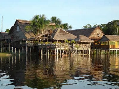 Iquitos Jungle